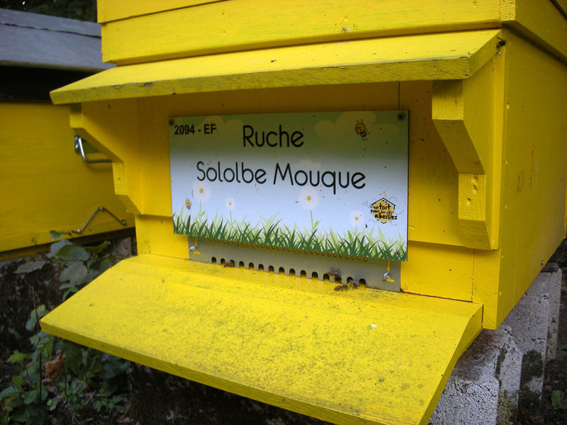 La ruche Sololbe Mouque